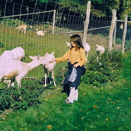 Am Alten Posthof * Lieser