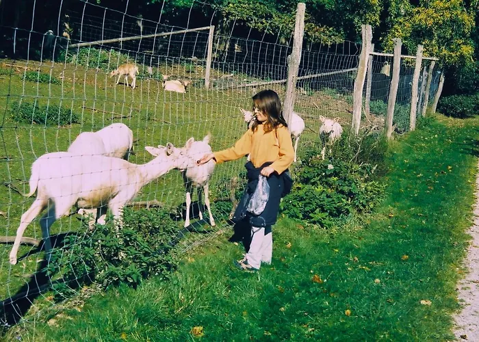 Am Alten Posthof * Lieser