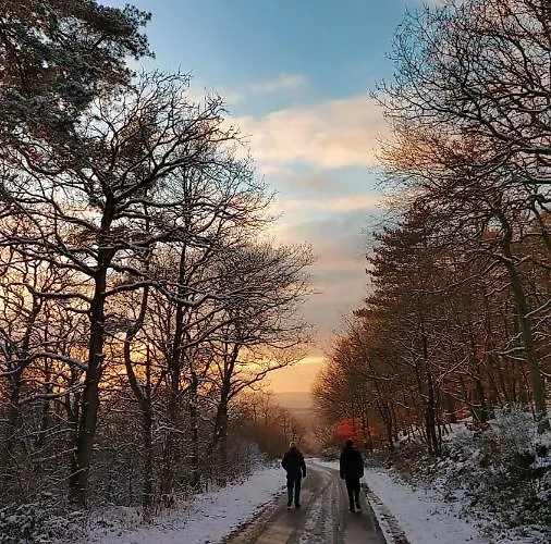 Ferienhaus Am Alten Posthof Lieser