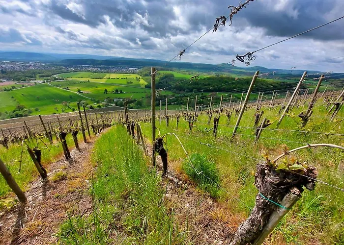 Am Alten Posthof Lieser