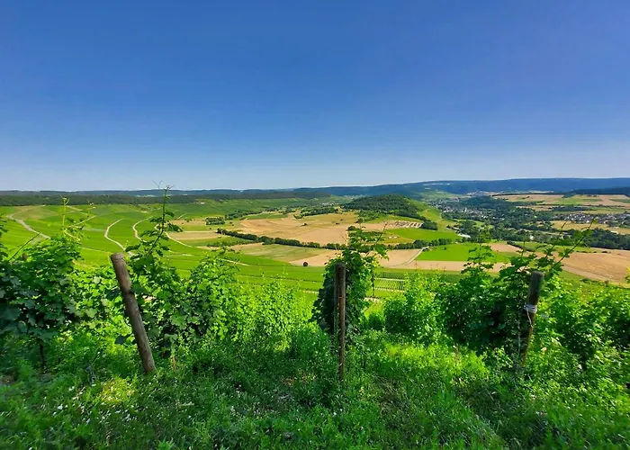 Am Alten Posthof 別荘 *