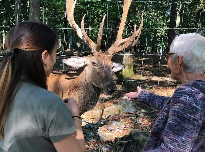 Am Alten Posthof Lieser